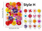 Gepresste Blumen Set, Natürliche Bastelbedarf, Resin, Karten, DIY