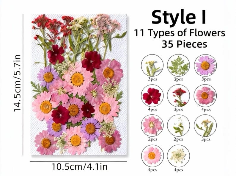 Gepresste Blumen Set, Natürliche Bastelbedarf, Resin, Karten, DIY
