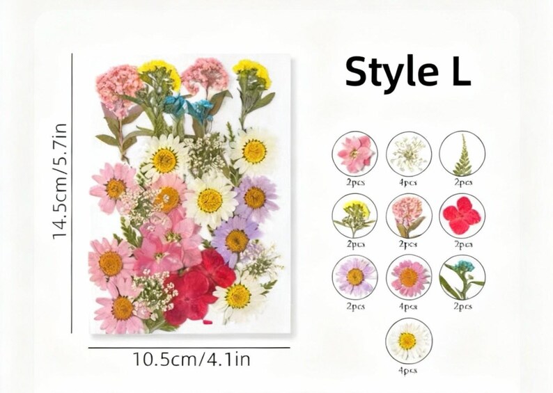 Gepresste Blumen Set, Natürliche Bastelbedarf, Resin, Karten, DIY