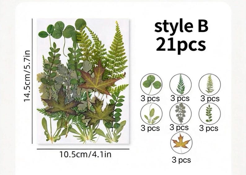 21 Stück Echte Gepresste Blätter Farn Sammlung Botanische Grünmischung Naturbasteln