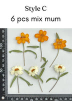 Gepresste Chrysanthemen Blumen | Echte getrocknete Blumen für Resin Kunst, Schmuckherstellung, Scrapbooking