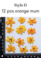 Gepresste Chrysanthemen Blumen | Echte getrocknete Blumen für Resin Kunst, Schmuckherstellung, Scrapbooking