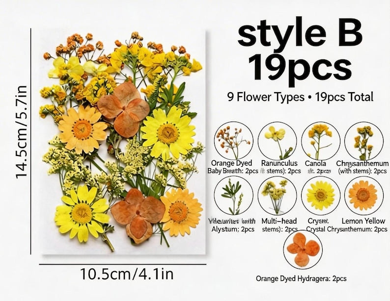 Gepresste Blumenmischung (16-30 Stück) für Harz, Nailart, Scrapbooking & Kartenherstellung