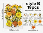 Gepresste Blumenmischung (16-30 Stück) für Harz, Nailart, Scrapbooking & Kartenherstellung