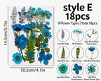 Gepresste Blumenmischung (16-30 Stück) für Harz, Nailart, Scrapbooking & Kartenherstellung