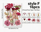 Gepresste Blumenmischung (16-30 Stück) für Harz, Nailart, Scrapbooking & Kartenherstellung