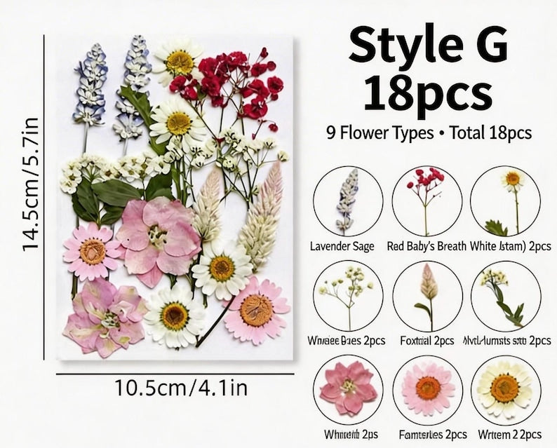 Gepresste Blumenmischung (16-30 Stück) für Harz, Nailart, Scrapbooking & Kartenherstellung
