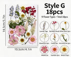 Gepresste Blumenmischung (16-30 Stück) für Harz, Nailart, Scrapbooking & Kartenherstellung