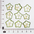 Getrocknete Fruchtscheiben für Resin Art, Zitrusmischung, Bastelzubehör, 100% natürlich konserviert