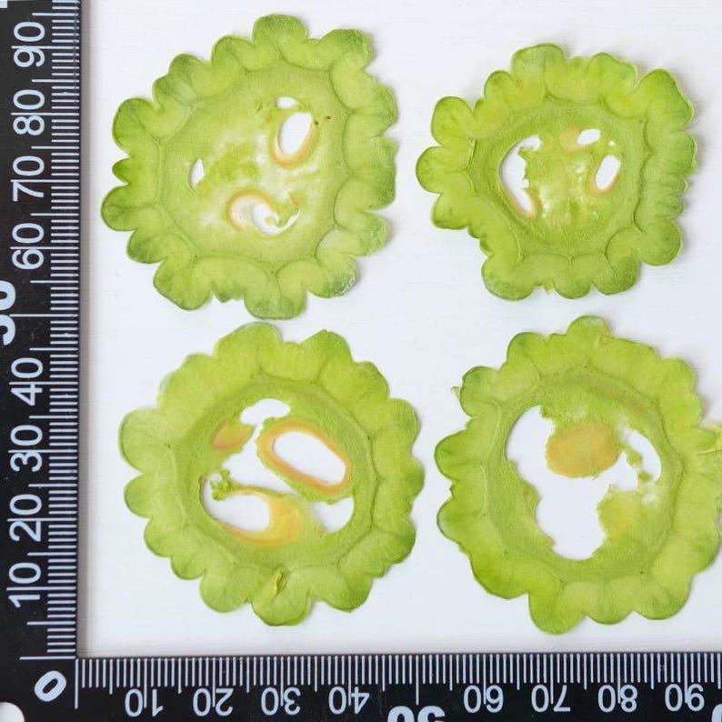 Getrocknete Fruchtscheiben für Resin Art, Zitrusmischung, Bastelzubehör, 100% natürlich konserviert