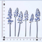 Gepresste Lavendelblüten für Harzkunst, botanische Handwerksversorgung, getrocknete Blumen für DIY