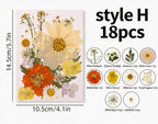 Gepresste Blumenmischung (16-30 Stück) für Harz, Nailart, Scrapbooking & Kartenherstellung