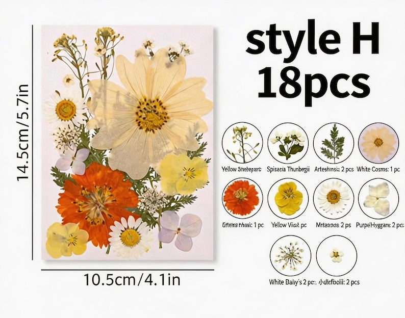 Gepresste Blumenmischung (16-30 Stück) für Harz, Nailart, Scrapbooking & Kartenherstellung