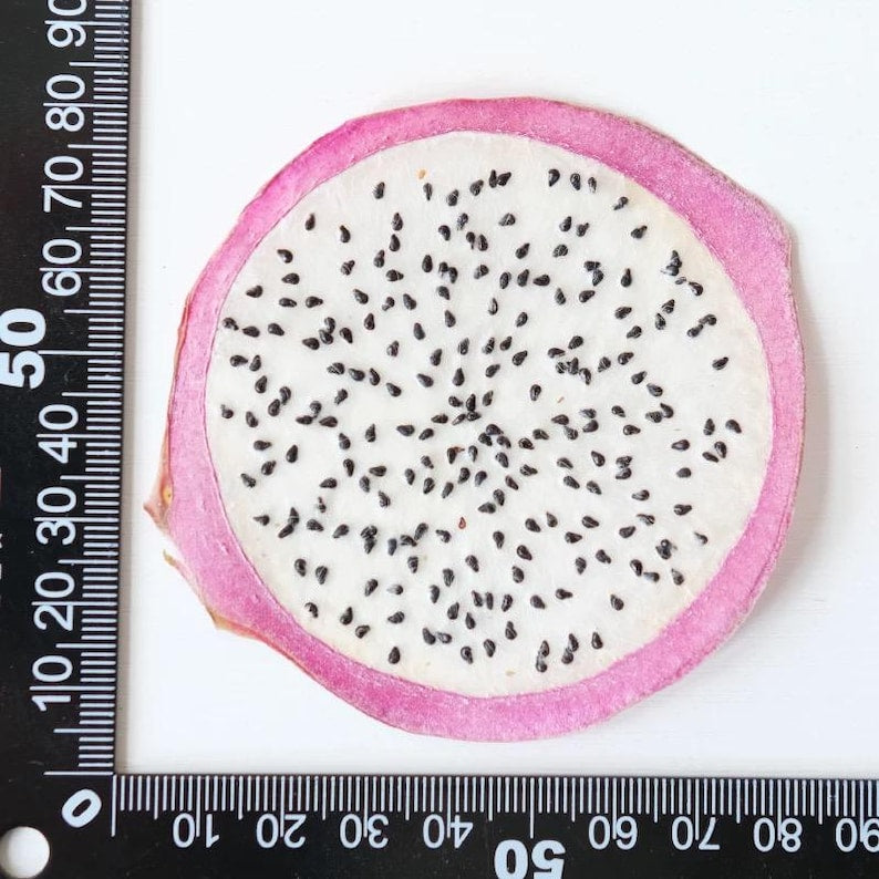 Getrocknete Fruchtscheiben für Resin Art, Zitrusmischung, Bastelzubehör, 100% natürlich konserviert