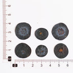 Getrocknete Fruchtscheiben für Resin Art, Zitrusmischung, Bastelzubehör, 100% natürlich konserviert