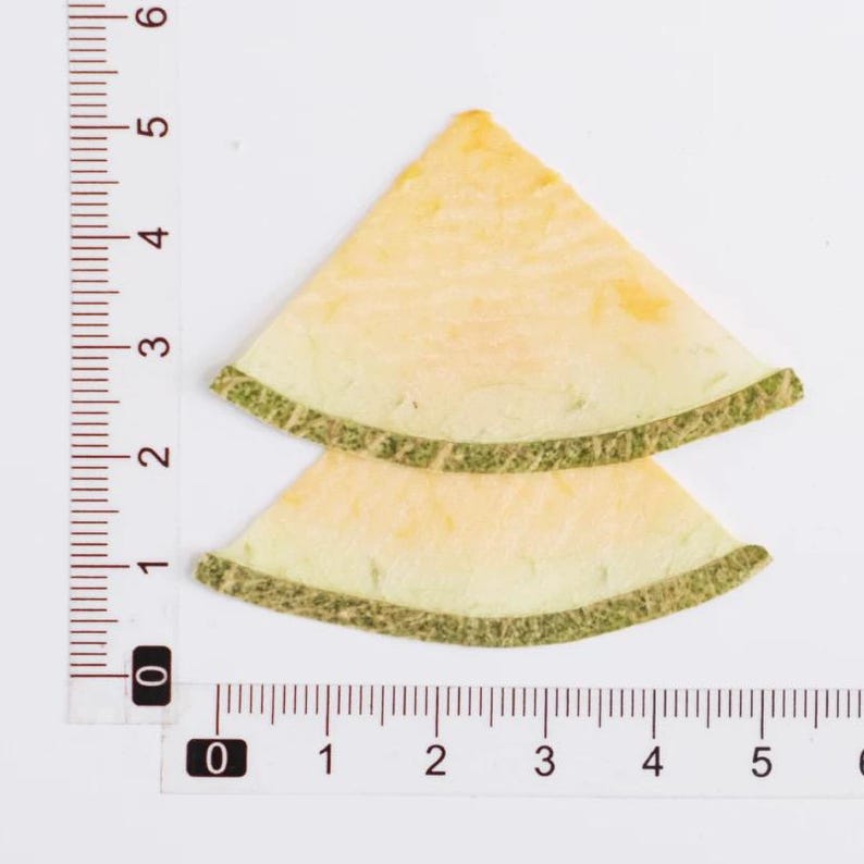 Getrocknete Fruchtscheiben für Resin Art, Zitrusmischung, Bastelzubehör, 100% natürlich konserviert