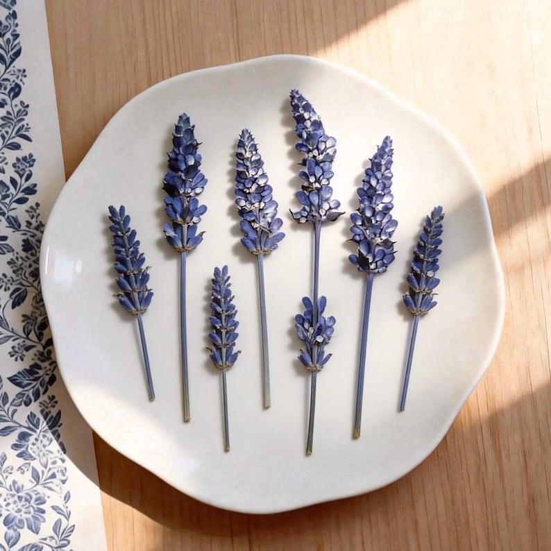 Gepresste Lavendelblüten für Harzkunst, botanische Handwerksversorgung, getrocknete Blumen für DIY