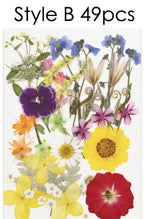 Gepresste Getrocknete Blumen Mix 25-45 Stück, Echte Blumen für Harz Schmuck DIY