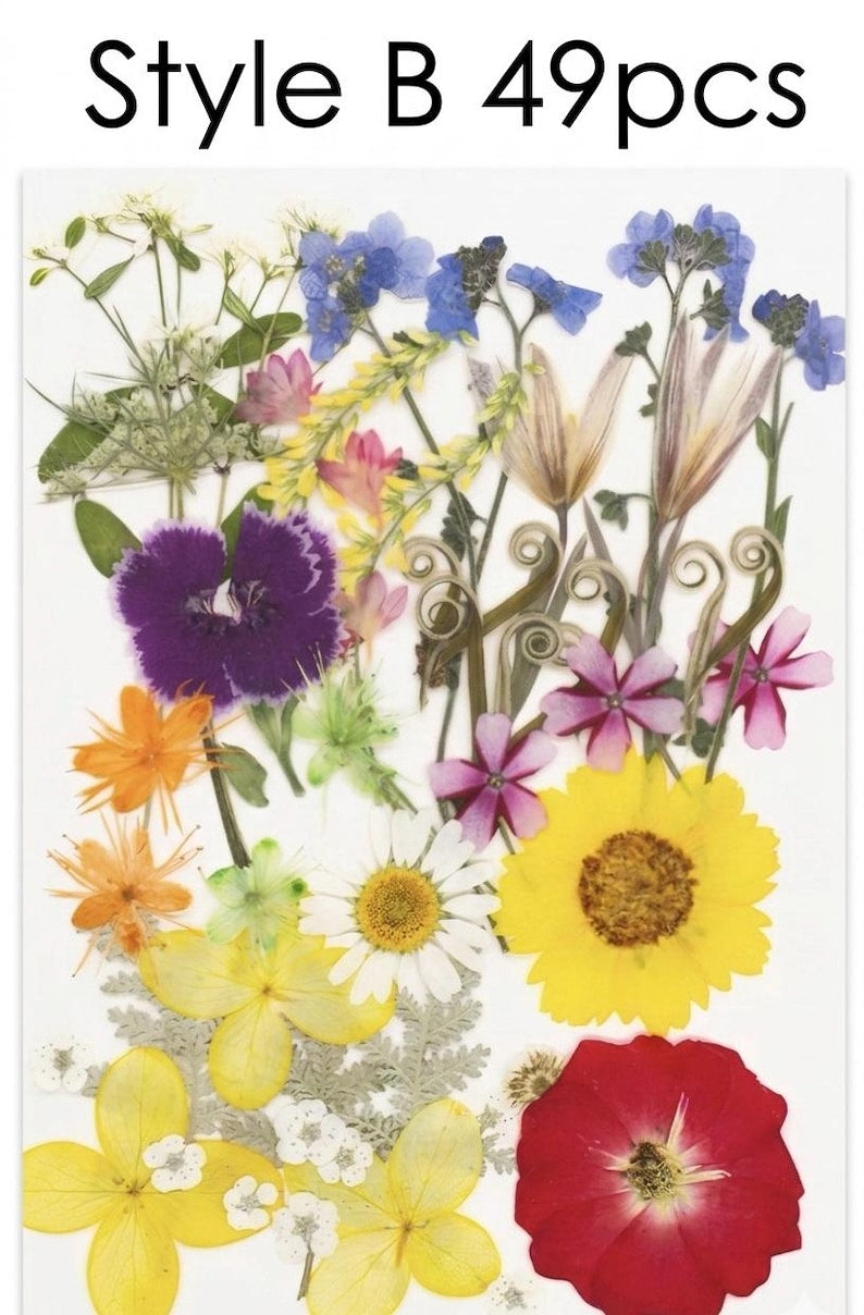 Gepresste Getrocknete Blumen Mix 25-45 Stück, Echte Blumen für Harz Schmuck, Nail Art, Scrapbooking, DIY Bastelbedarf