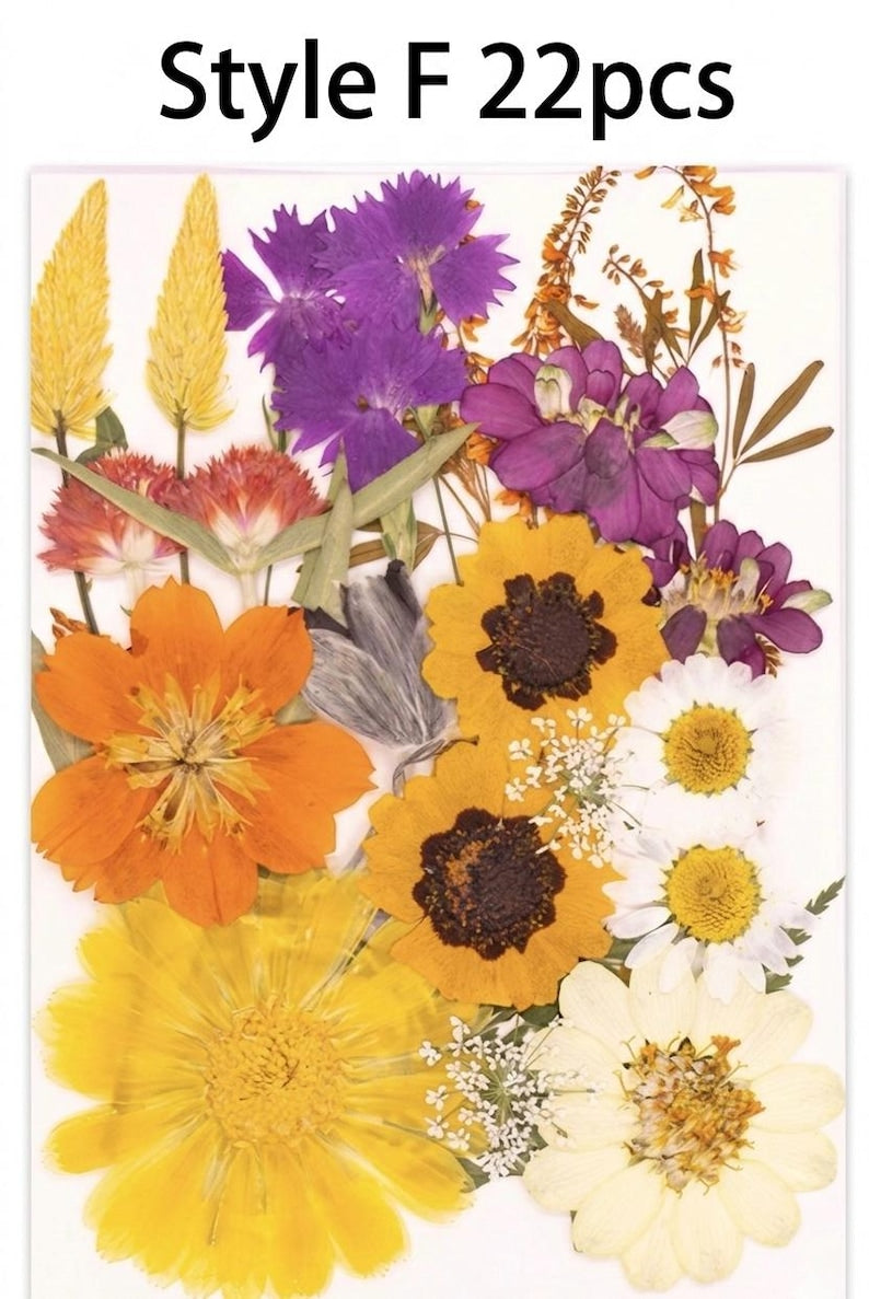 Gepresste Getrocknete Blumen Mix 25-45 Stück, Echte Blumen für Harz Schmuck, Nail Art, Scrapbooking, DIY Bastelbedarf