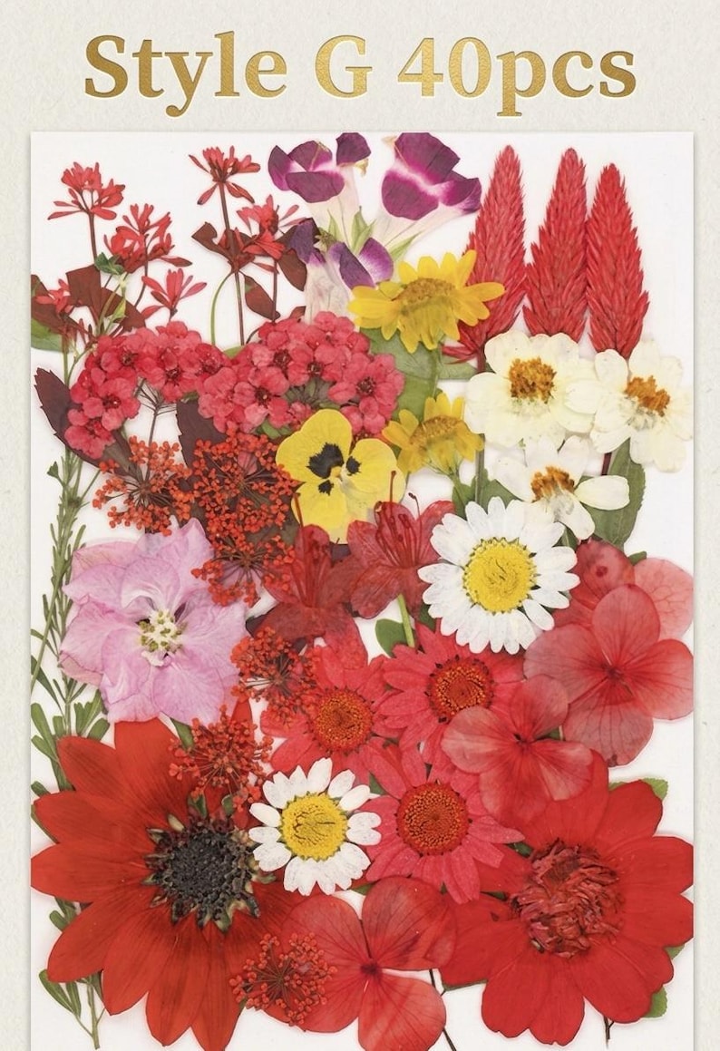 Gepresste Getrocknete Blumen Mix 25-45 Stück, Echte Blumen für Harz Schmuck, Nail Art, Scrapbooking, DIY Bastelbedarf