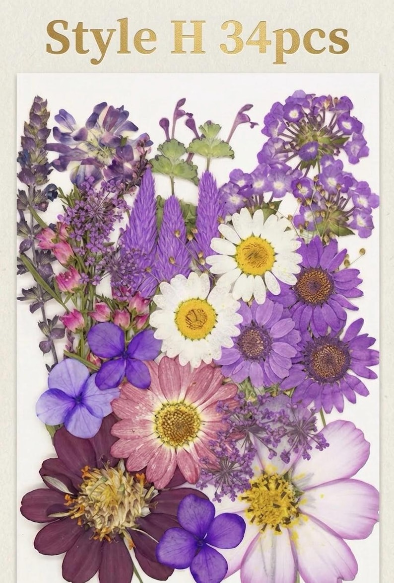 Gepresste Getrocknete Blumen Mix 25-45 Stück, Echte Blumen für Harz Schmuck, Nail Art, Scrapbooking, DIY Bastelbedarf