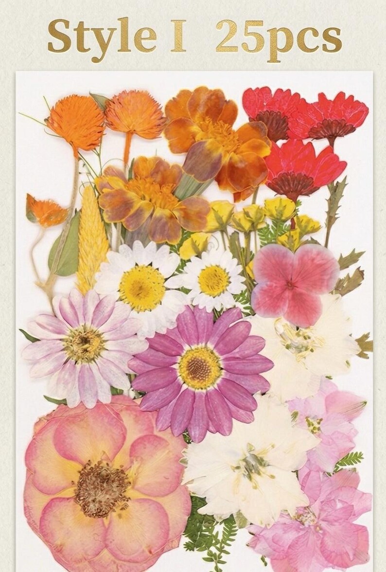 Gepresste Getrocknete Blumen Mix 25-45 Stück, Echte Blumen für Harz Schmuck, Nail Art, Scrapbooking, DIY Bastelbedarf
