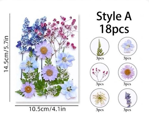 18 Stück Echte Gepresste Blumen Set, 7 Farbthemen, Getrocknete Blumen für Resin Art, Kerzen, Nailart, Scrapbooking
