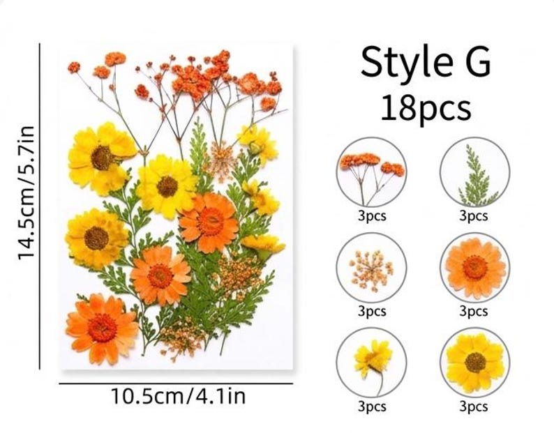 18 Stück Echte Gepresste Blumen Set, 7 Farbthemen, Getrocknete Blumen für Resin Art, Kerzen, Nailart, Scrapbooking
