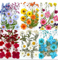 18 Stück Echte Gepresste Blumen Set, 7 Farbthemen, Getrocknete Blumen für Resin Art, Kerzen, Nailart, Scrapbooking