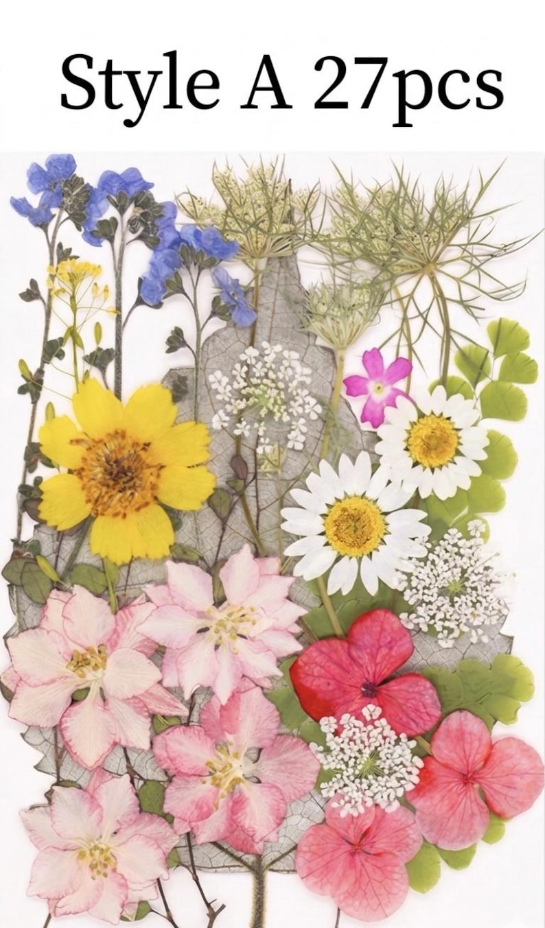 Gepresste Getrocknete Blumen Mix 25-45 Stück, Echte Blumen für Harz Schmuck, Nail Art, Scrapbooking, DIY Bastelbedarf