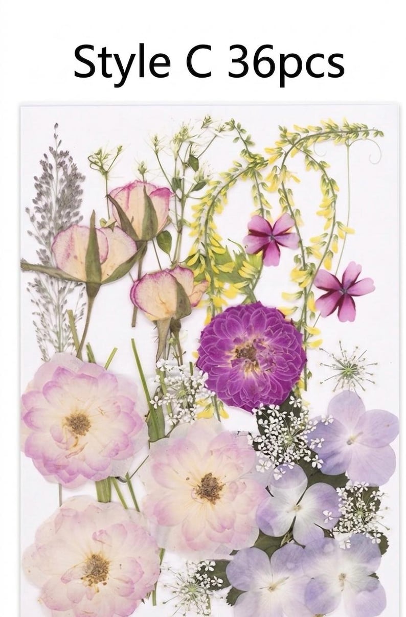 Gepresste Getrocknete Blumen Mix 25-45 Stück, Echte Blumen für Harz Schmuck, Nail Art, Scrapbooking, DIY Bastelbedarf