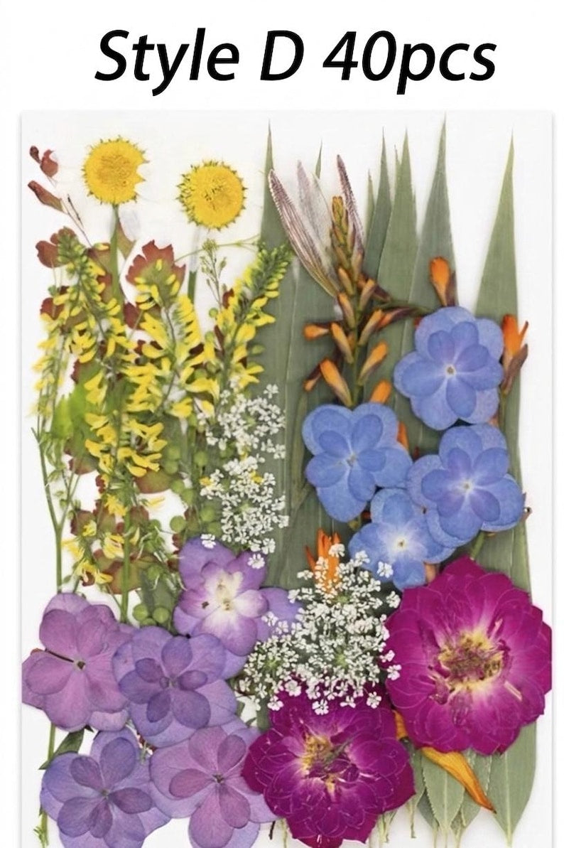 Gepresste Getrocknete Blumen Mix 25-45 Stück, Echte Blumen für Harz Schmuck, Nail Art, Scrapbooking, DIY Bastelbedarf