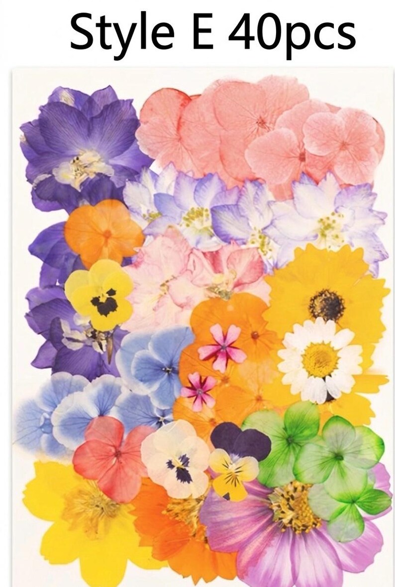 Gepresste Getrocknete Blumen Mix 25-45 Stück, Echte Blumen für Harz Schmuck, Nail Art, Scrapbooking, DIY Bastelbedarf