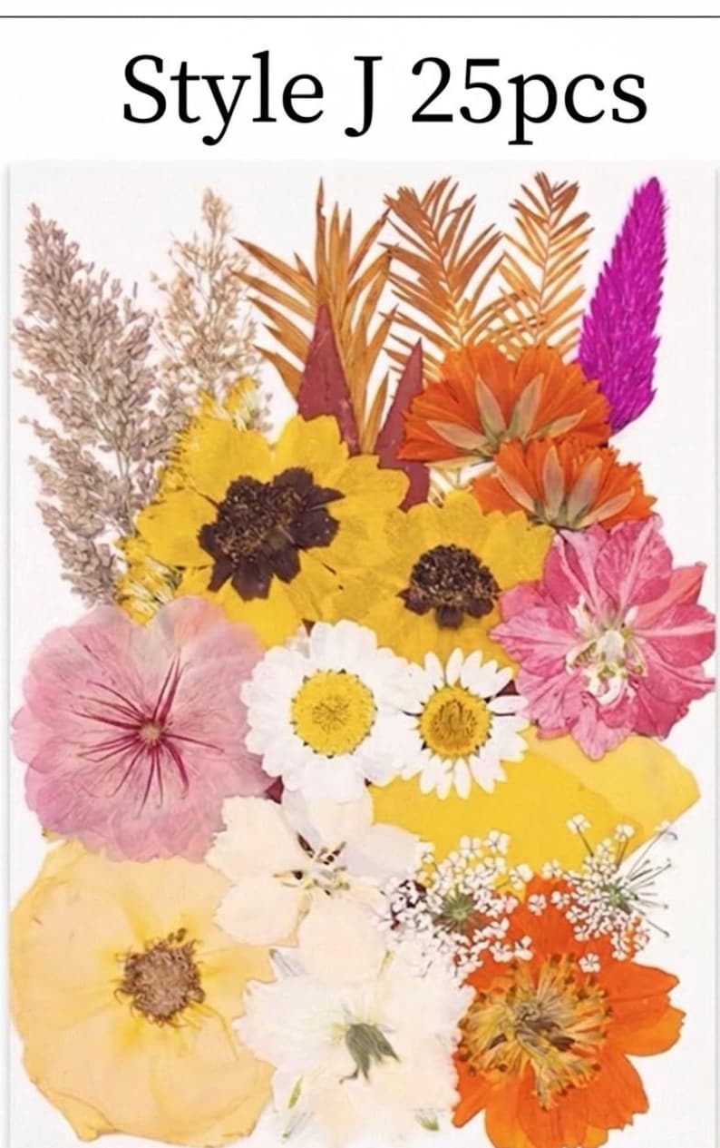 Gepresste Getrocknete Blumen Mix 25-45 Stück, Echte Blumen für Harz Schmuck, Nail Art, Scrapbooking, DIY Bastelbedarf