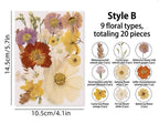 Gepresste Blumen-Mix, Echte Getrocknete Blumen für Resin Art, Scrapbooking, Kerzen & Wachssiegel, Bastelpackung, Blumenschmuck