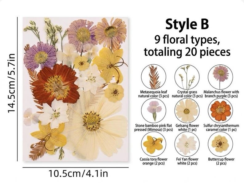 Gepresste Blumen-Mix, Echte Getrocknete Blumen für Resin Art, Scrapbooking, Kerzen & Wachssiegel, Bastelpackung, Blumenschmuck