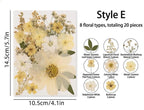 Gepresste Blumen-Mix, Echte Getrocknete Blumen für Resin Art, Scrapbooking, Kerzen & Wachssiegel, Bastelpackung, Blumenschmuck
