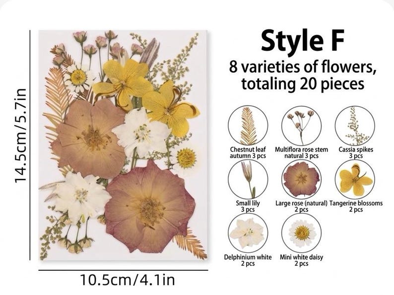 Gepresste Blumen-Mix, Echte Getrocknete Blumen für Resin Art, Scrapbooking, Kerzen & Wachssiegel, Bastelpackung, Blumenschmuck