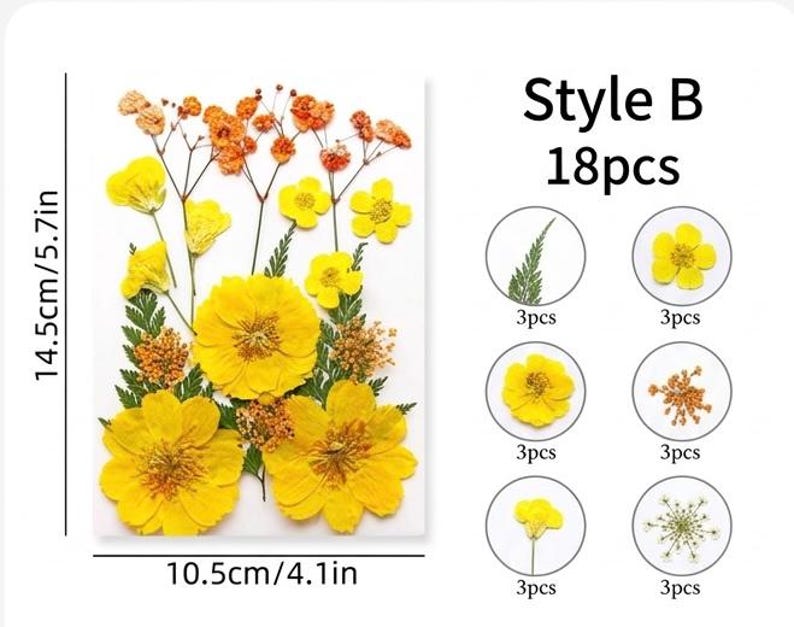18 Stück Echte Gepresste Blumen Set, 7 Farbthemen, Getrocknete Blumen für Resin Art, Kerzen, Nailart, Scrapbooking