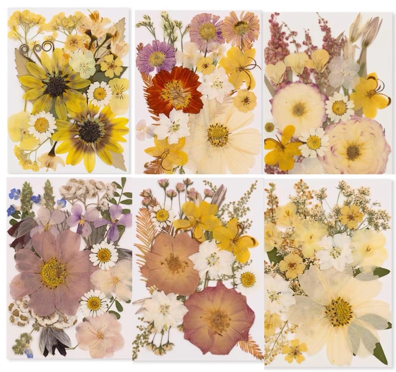 Gepresste Blumen-Mix, Echte Getrocknete Blumen für Resin Art, Scrapbooking, Kerzen & Wachssiegel, Bastelpackung, Blumenschmuck