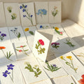 10 Grußkarten mit gepressten Blüten, botanische Blumenkunst, 15 x 10 cm, inkl. Umschläge