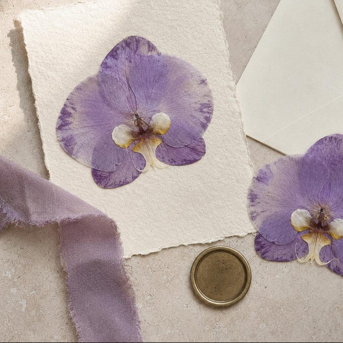 Gepresste echte Phalaenopsis-Orchideenblüten, violett, 10–12 cm, für Harzkunst und Bastelbedarf