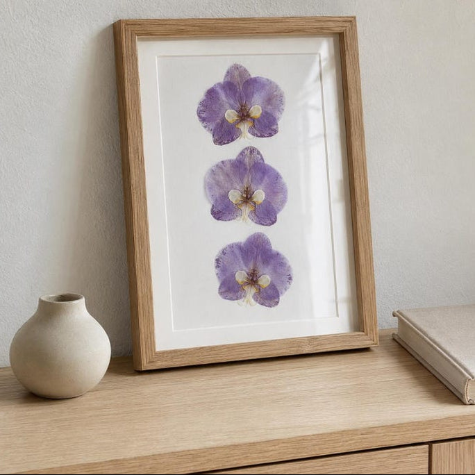Gepresste echte Phalaenopsis-Orchideenblüten, violett, 10–12 cm, für Harzkunst und Bastelbedarf