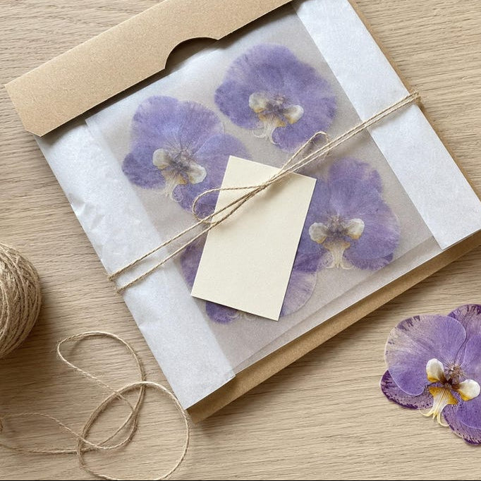 Gepresste echte Phalaenopsis-Orchideenblüten, violett, 10–12 cm, für Harzkunst und Bastelbedarf